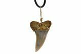 Fossil Mako Tooth Necklace - Bakersfield, California #95259-2
